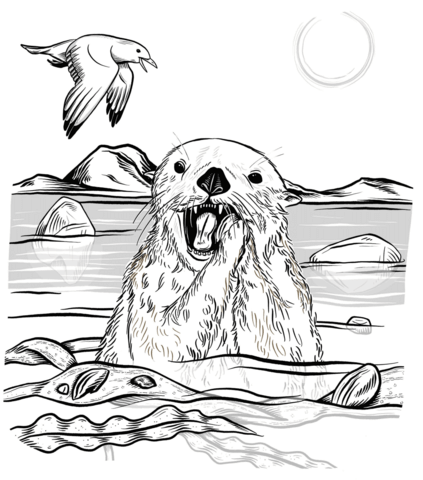 Sea Otter Eating Urchin Coloring Page